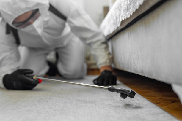 Professional Termite Control technician working in South Haven, MI