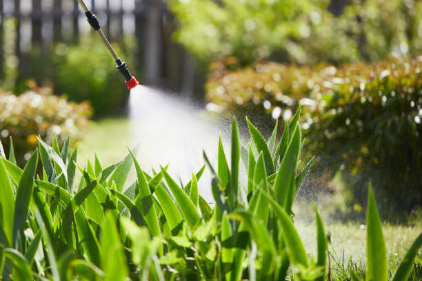 24/7 Emergency Termite Control experts in South Haven, MI