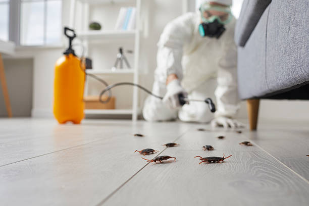 Trusted Cockroach Control service in South Haven, MI - Nex Pest Control