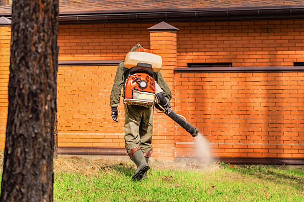 Trusted Ant Control service in South Haven, MI - Nex Pest Control